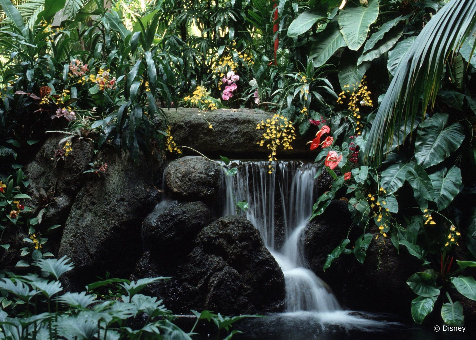 Disney'S Polynesian Village Resort Ορλάντο Εξωτερικό φωτογραφία